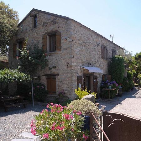 A Casa Di Paulina Bed & Breakfast Casta Exterior photo
